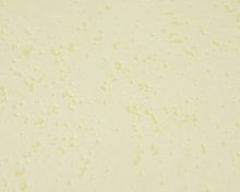 выводим Обои 30002-01 (12)Tiramisu Кухня-Пейзаж-фон виниловые на бум. основе сет 2, 0,53*10м Артекс