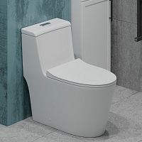 Унитаз-моноблок T1087 безободковый круговой смыв, сиденье тонкое ДП, арматура (с гофрой и подводкой)