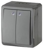11-1405-03 ЭРА Выключатель двойной с подсветкой IP54, 10АХ-250В, ОУ, Эра Эксперт, серый (16)