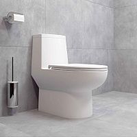 Монолит SM5004, безободковый, сиденье ДП (с гофрой и подводкой)