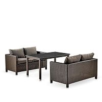 T256A_S59A-W53 Brown