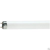 Лампа ЛЛ 36 вт TLD 36/54-765 G13 дневная Philips  к 81584900